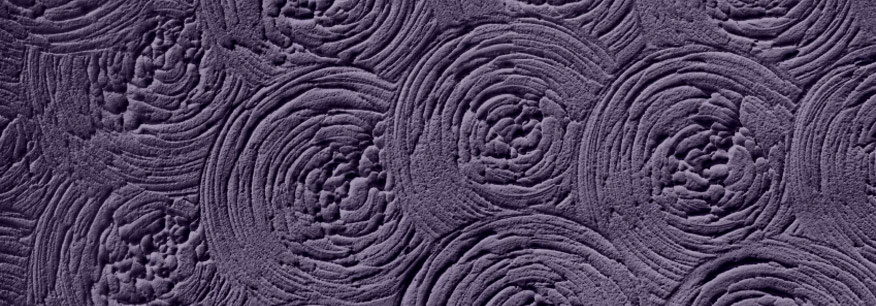 Stucco in Seattle
